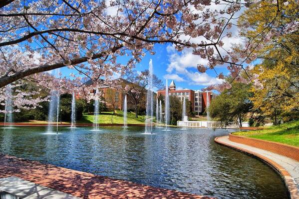 Clemson Poster featuring the photograph Clemson University Springtime by Richie Knight