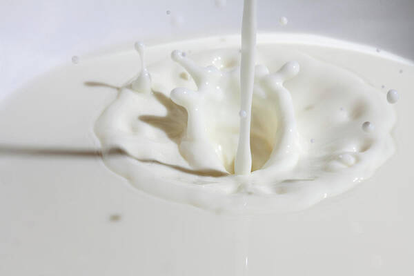 Shadow Poster featuring the photograph Close-up Of Milk Being Poured by Dual Dual