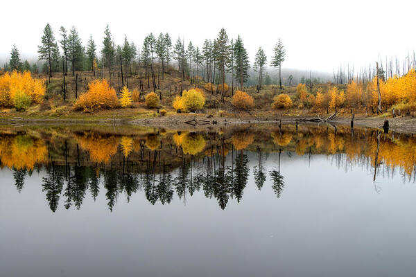Reflections Poster featuring the photograph Cloudy Autumn Reflection by Allan Van Gasbeck