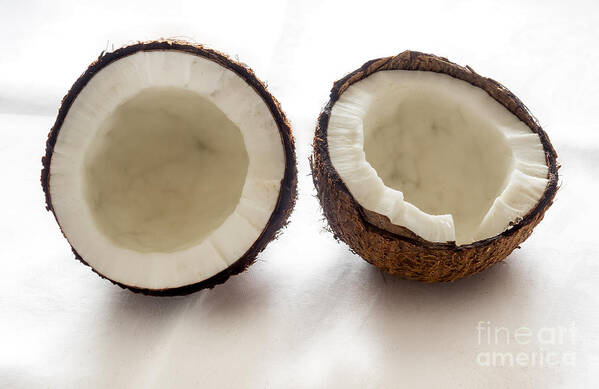 Background Poster featuring the photograph Coconut cut in half on white background by Frank Bach