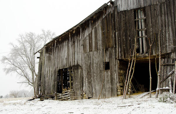 Winter Poster featuring the photograph Cold Winter At The Barn by Wilma Birdwell