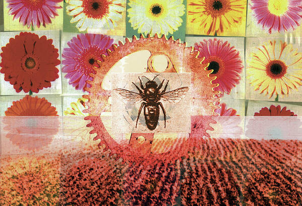 Agriculture Poster featuring the photograph Collage Of Flowers, Bee, Cog And Field by Ikon Ikon Images