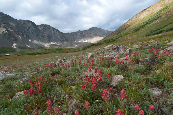 Landscape Poster featuring the photograph Colorado Early Morning Summer Landscape with Gray's Peak by Cascade Colors