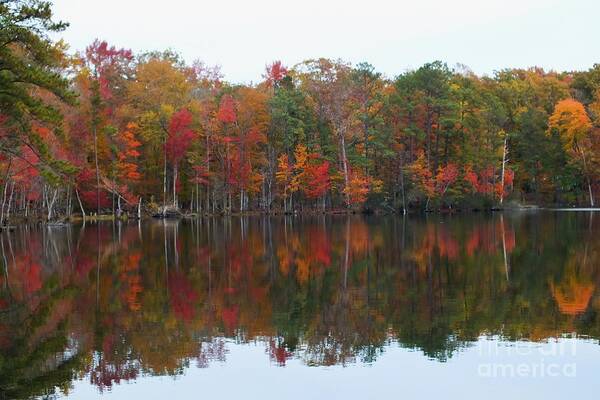 Fall Colors Poster featuring the photograph Colorful Reflections by Scott Cameron