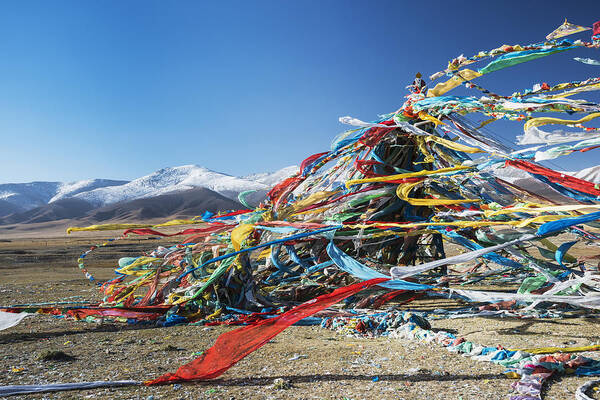 Buddhism Poster featuring the photograph Colourful Tibetan Prayer Flags _lung by Sergey Orlov