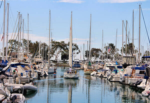 Dana Point Poster featuring the photograph Come sail away by Tammy Espino
