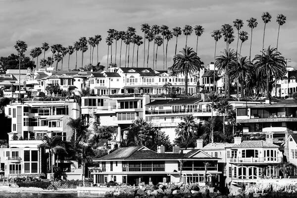 America Poster featuring the photograph Corona del Mar California Black and White Picture by Paul Velgos