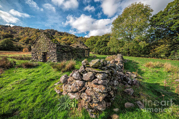 Betws Y Coed Poster featuring the photograph Cottage Ruin by Adrian Evans