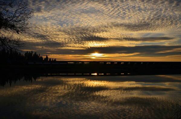 Sunset Poster featuring the photograph Cotton Ball Clouds Sunset by Marilyn MacCrakin