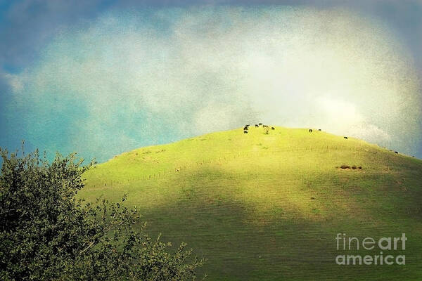 Landscapes Poster featuring the photograph Cows on a Hill by Ellen Cotton