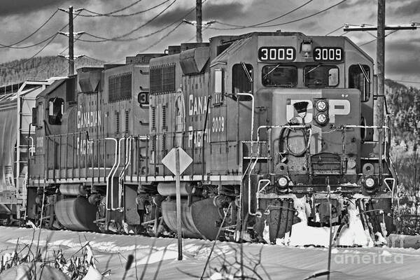 Trains Poster featuring the photograph CP Rail Train BWTR9099-12 by Randy Harris