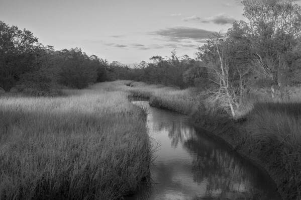 Landscape Poster featuring the photograph Creek at Wilmington Island by Frank Bright