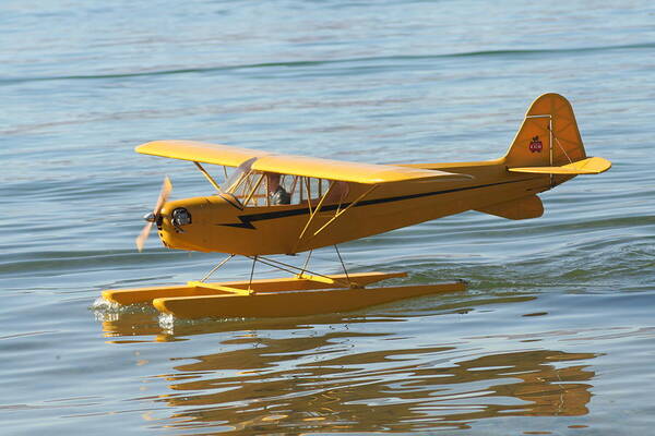 Piper Cub Poster featuring the photograph Cub on floats by David S Reynolds