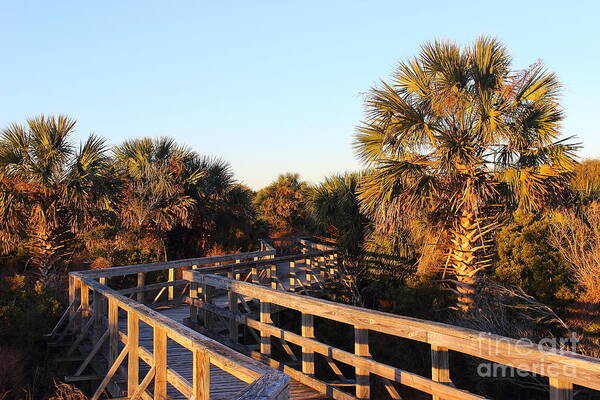 Cumberland Poster featuring the photograph Morning Boardwalk by Andre Turner