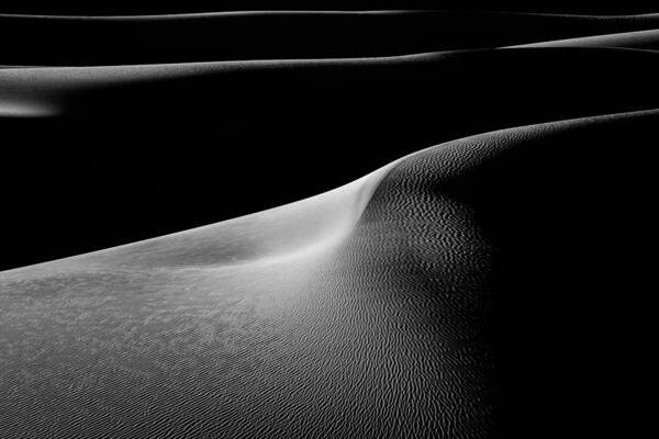 Dunes Poster featuring the photograph Curvy Dunes by Brian Bonham