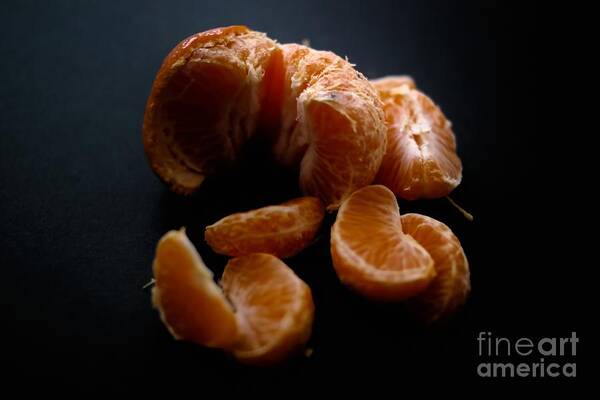 Tangerine Poster featuring the photograph Cuties by Diana Mary Sharpton