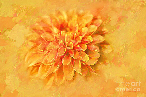 Dahlia Poster featuring the photograph Dalhia Abstract by Linda Blair