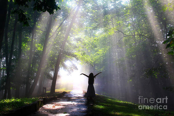Sunrise Poster featuring the photograph Dancing In God's Light CopyRight WillaDawn Photography by Melissa Petrey