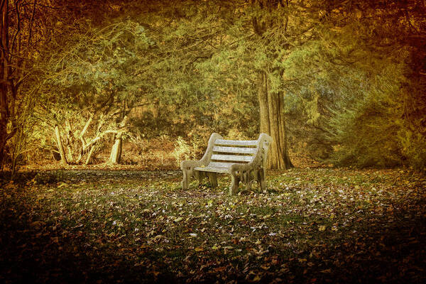 Nature Poster featuring the photograph Daydreamer's Bench by Ola Allen