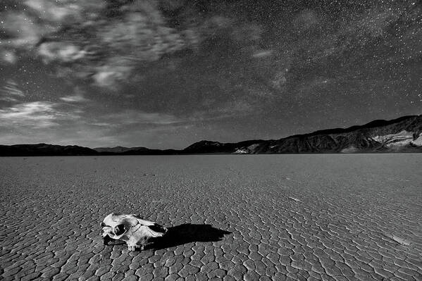 Moonlight Poster featuring the photograph Death Valley By Moonlight by Hua Zhu