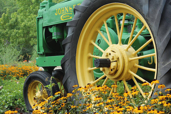 John Deere Art Poster featuring the photograph Deere 2 by Lynn Sprowl