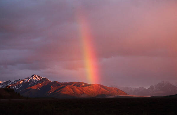 Denali Poster featuring the photograph Denali Mountains Rainbow by Jean Clark
