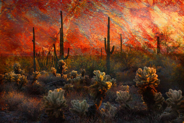 Cacti Poster featuring the photograph Desert Burn by Barbara Manis