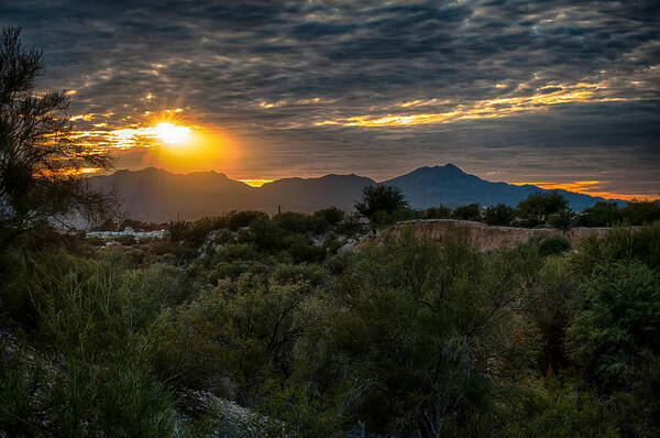 Arizona Poster featuring the photograph Desert Sunset by Dan McManus