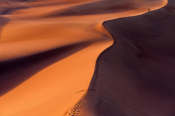 Death Valley Poster featuring the photograph Desertwalk by Jure Kravanja