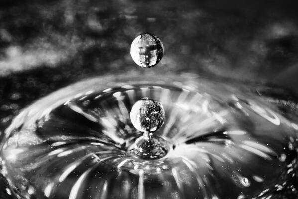 Black And White Poster featuring the photograph Disco water drop by Arkady Kunysz