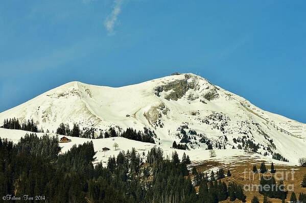 Alps Poster featuring the photograph Distinctly lines by Felicia Tica