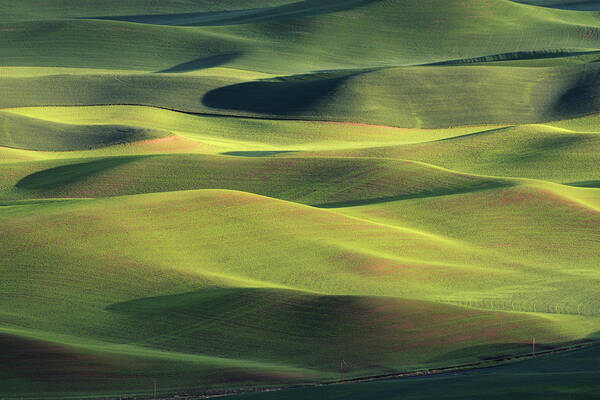 Palouse Poster featuring the photograph Dream Land by ??????? / Austin