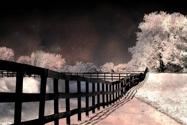 Surreal Fantasy Infrared Photography Poster featuring the photograph Dreamy Surreal Fantasy Infrared Color Landscape by Kathy Fornal