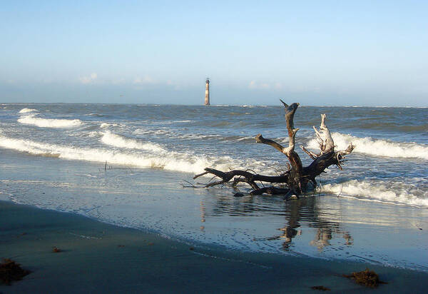 Driftwood Poster featuring the photograph Driftwood and Morris Island Lighthouse by Ellen Tully