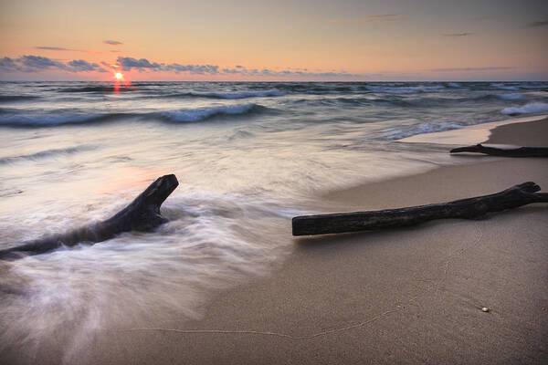 3scape Poster featuring the photograph Driftwood on the Beach by Adam Romanowicz
