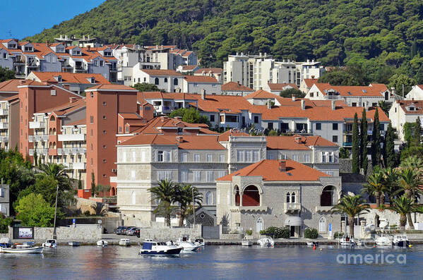 Dubrovnik Poster featuring the photograph Dubrovnik's buildings by Elaine Berger