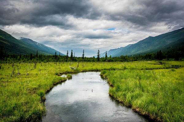 Meadow Poster featuring the photograph Eagle River Nature Center by Andrew Matwijec