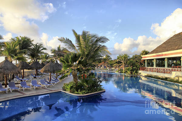 Swimming Pool Poster featuring the photograph Early Morning at the Pool by Teresa Zieba