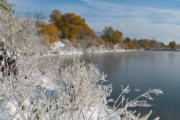 Landscape Poster featuring the photograph Early Winter Landscape by Cascade Colors