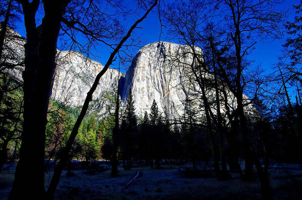 Blue Sky Poster featuring the photograph El Capitan Winter Morning by Scott McGuire