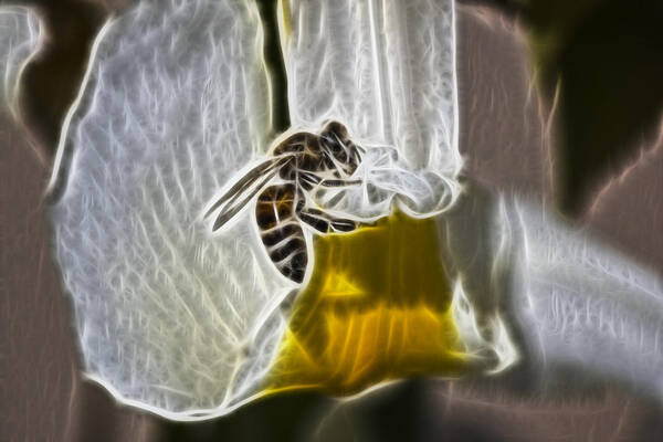Bee Poster featuring the digital art Electric Bee by Photographic Art by Russel Ray Photos