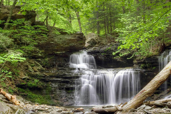 Creek Poster featuring the photograph Emerald Trees Surround R. B. Ricketts Falls by Gene Walls
