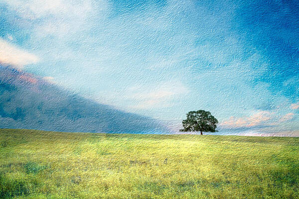 Tree Poster featuring the photograph Emerging Spring by Randy Wood