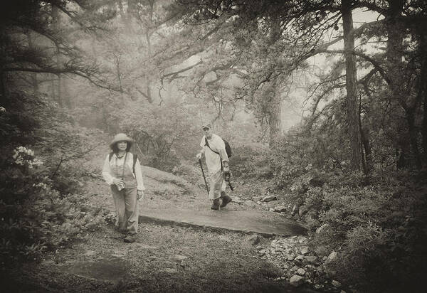 Black And White Poster featuring the photograph Enchanted Forest by Jim Cook