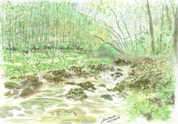 Toms Creek Poster featuring the painting Enchanted Stream - sketch by Joel Deutsch