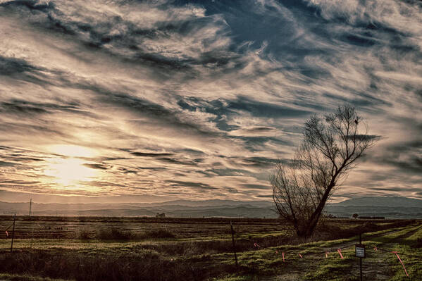 Landscape Poster featuring the photograph Ethereal Sky by Lisa Chorny