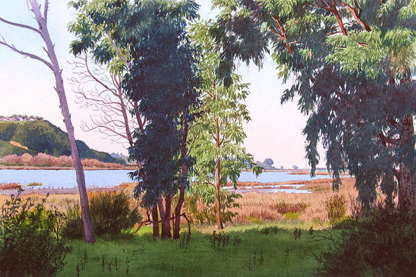 Batiquitos Poster featuring the painting Eucalyptus Trees at Batiquitos Lagoon by Mary Helmreich