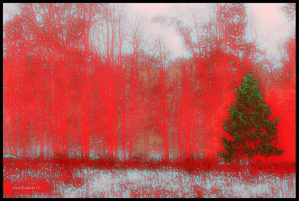 Abstract Trees-red-green Poster featuring the photograph Evergreen by Steve Godleski