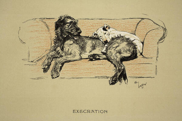 Dogs Poster featuring the drawing Execration, 1930, 1st Edition by Cecil Charles Windsor Aldin
