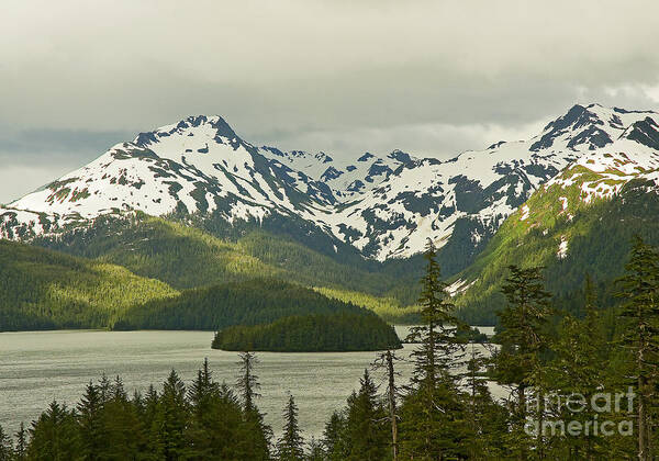 Alaska Poster featuring the photograph Eyak Lake Landscape by Nick Boren